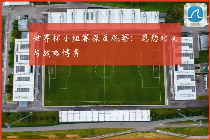 世界杯小组赛深度观察:恩怨对决与战略博弈