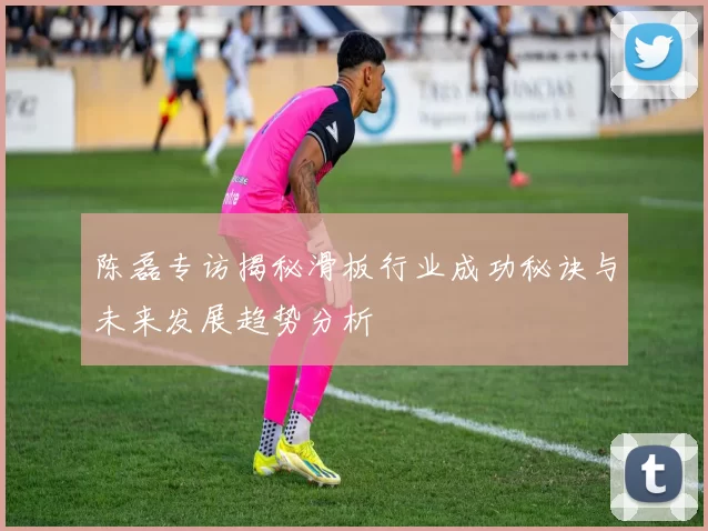 陈磊专访揭秘滑板行业成功秘诀与未来发展趋势分析