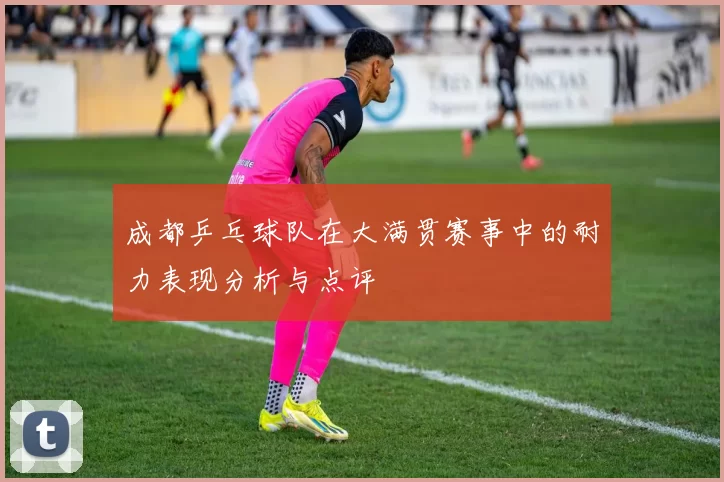 成都乒乓球队在大满贯赛事中的耐力表现分析与点评